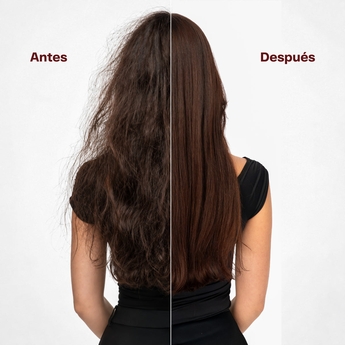 Secador Para Cabello Profesional CMS Cosmos Pollux